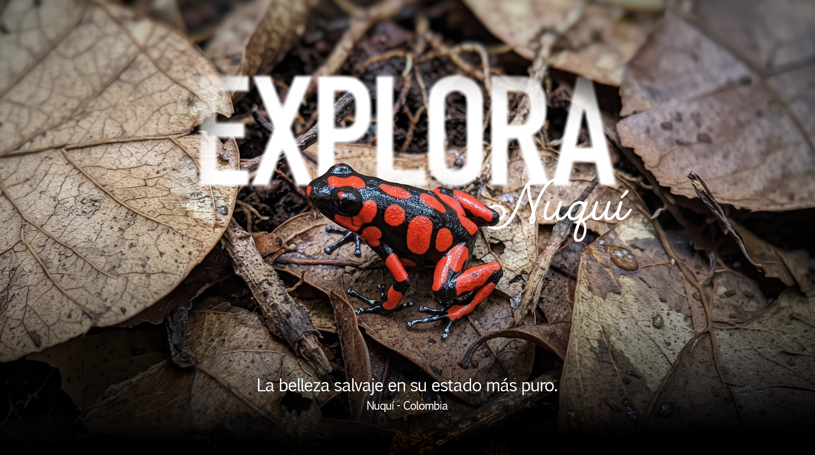 Explora Nuquí IA 2